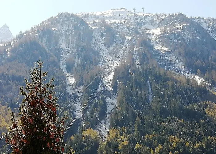 Апартаменты Champalo